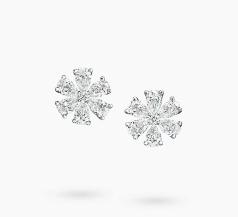 Casual Harry Winston Earrings 213912