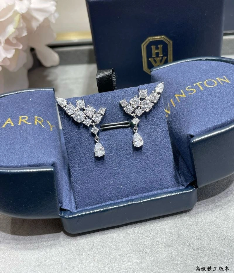 Harry Winston Earrings Modern 211977