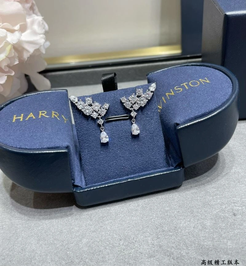 Harry Winston Earrings Modern 211977