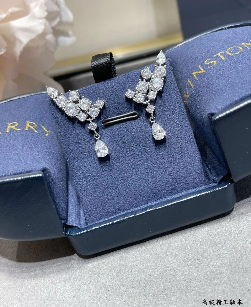 Harry Winston Earrings Modern 211977
