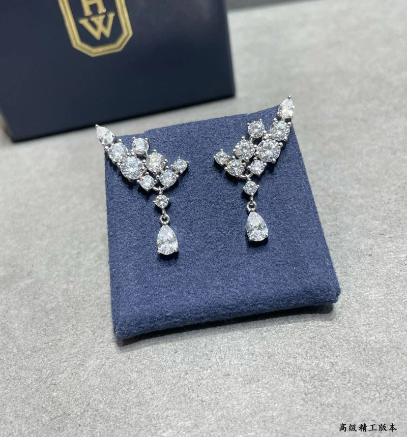 Harry Winston Earrings Modern 211977