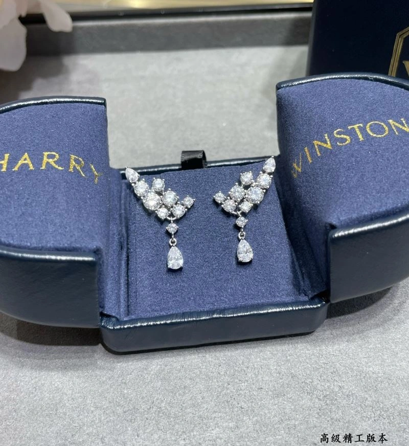 Harry Winston Earrings Modern 211977