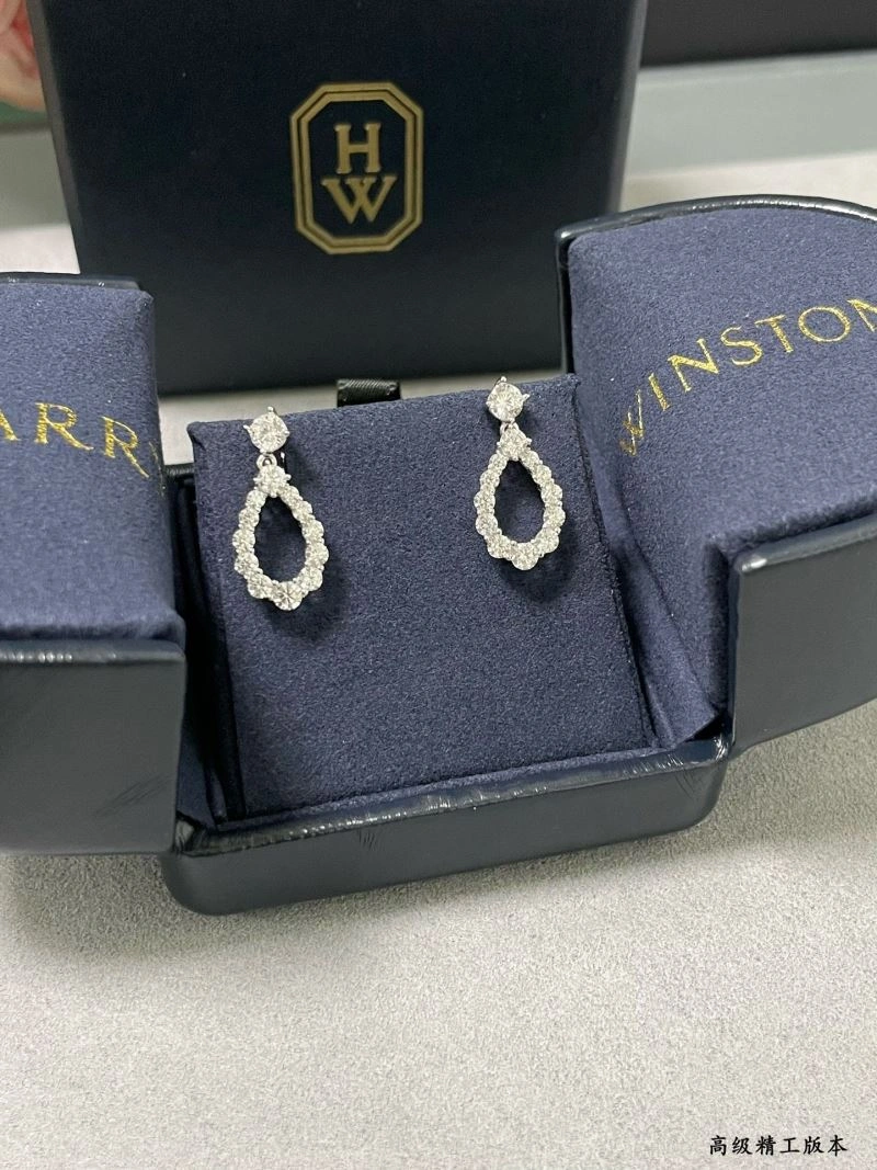 Harry Winston Earrings Unique 211970