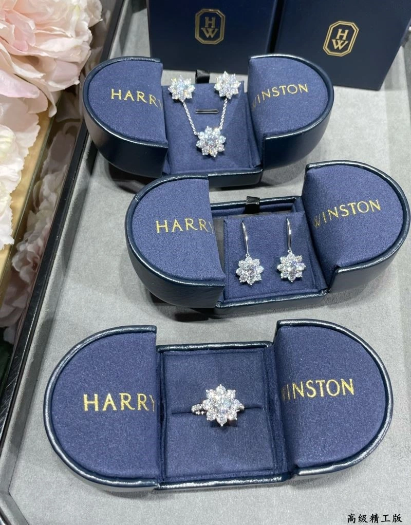 Breathable Harry Winston Earrings 210625