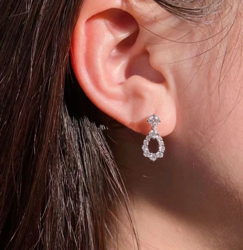 Packable Harry Winston Earrings 210636