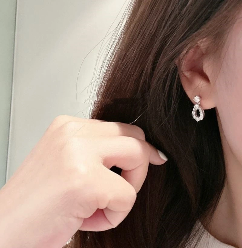 Packable Harry Winston Earrings 210636