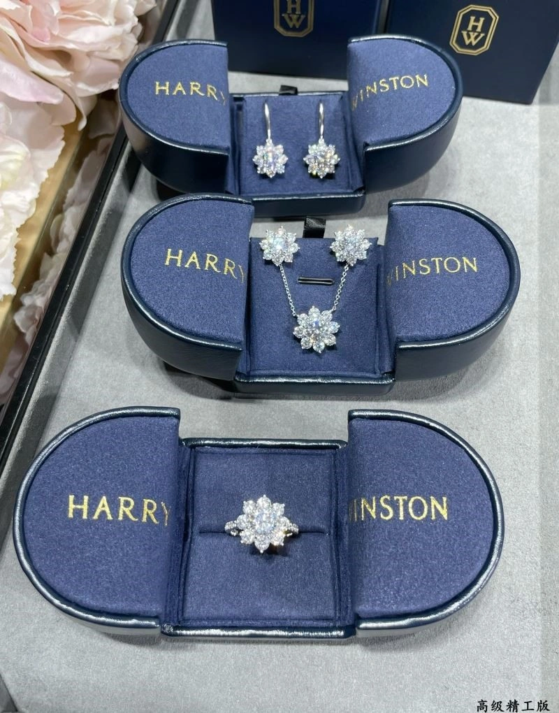 Neat Harry Winston Earrings 210622