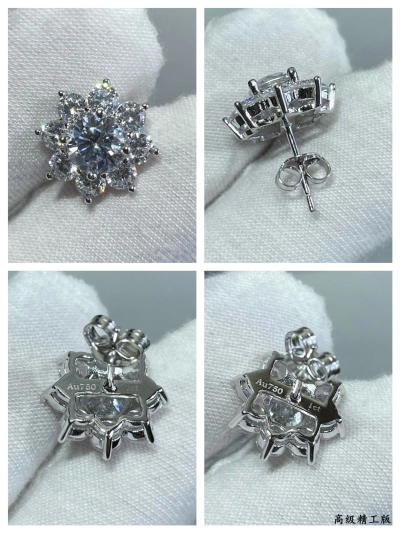 Neat Harry Winston Earrings 210622