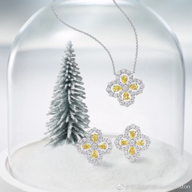 Premium Harry Winston Earrings 209768