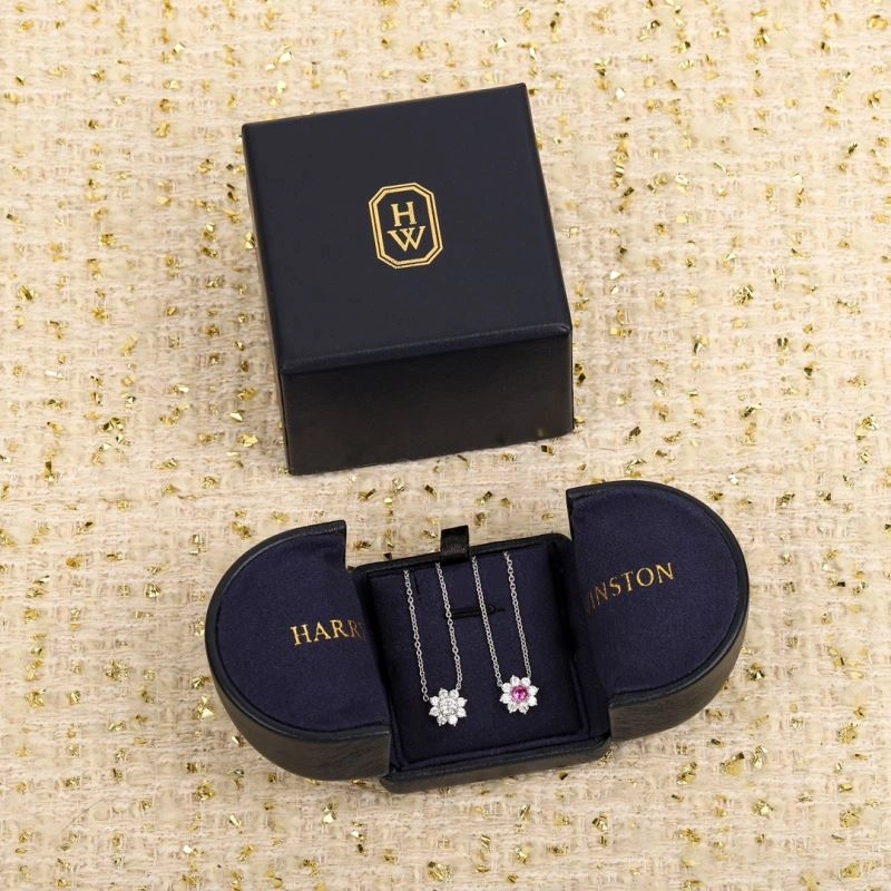 Cozy Harry Winston Necklaces 212938