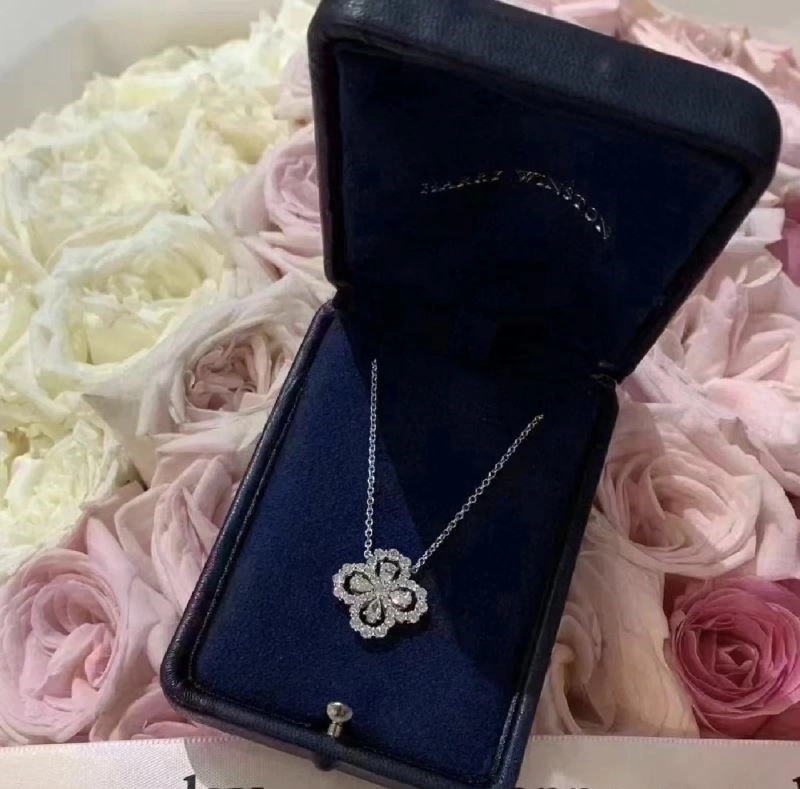 Harry Winston Necklaces Practical 209758