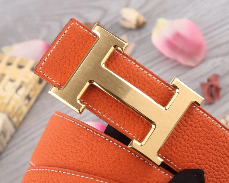 Hermes Belts Resilient 295033