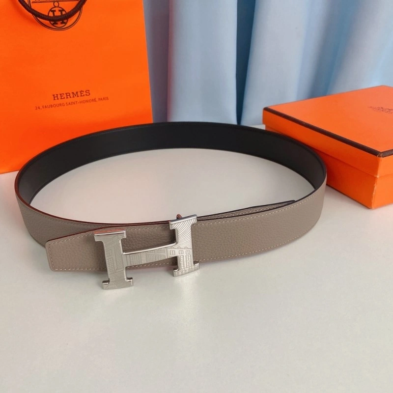 DailyWear Hermes Belts 294892