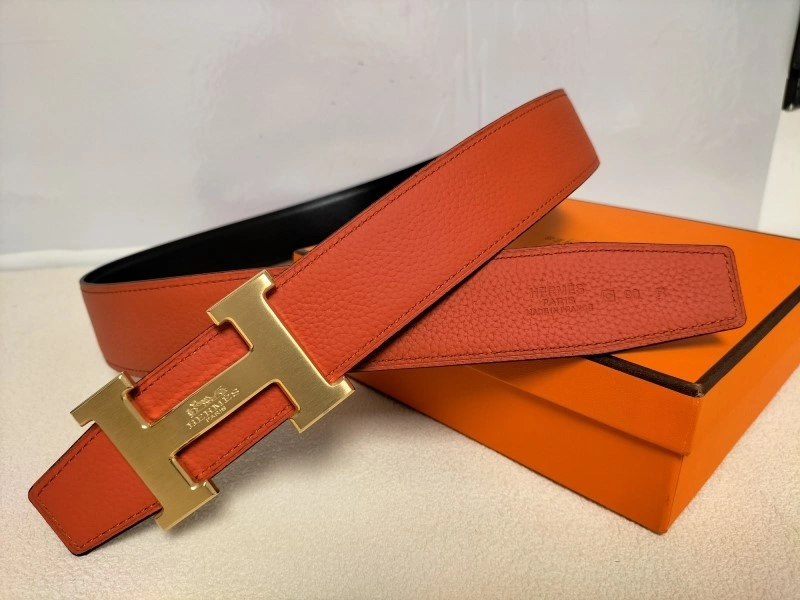 DailyWear Hermes Belts 296208