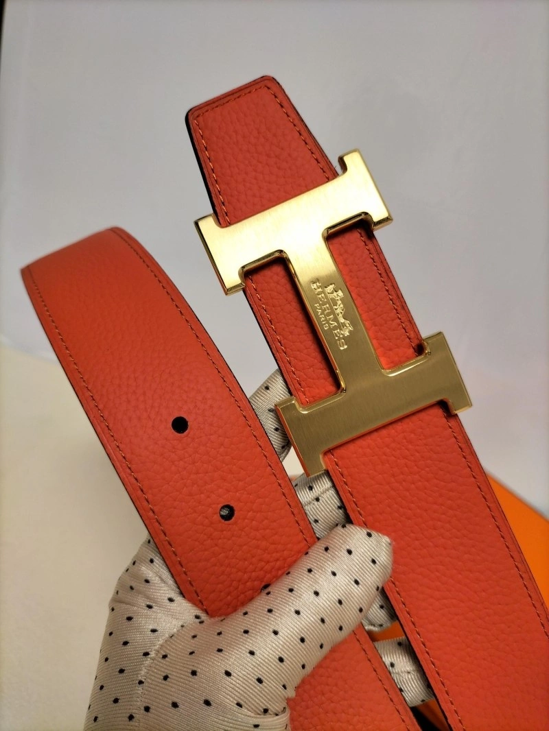 DailyWear Hermes Belts 296208