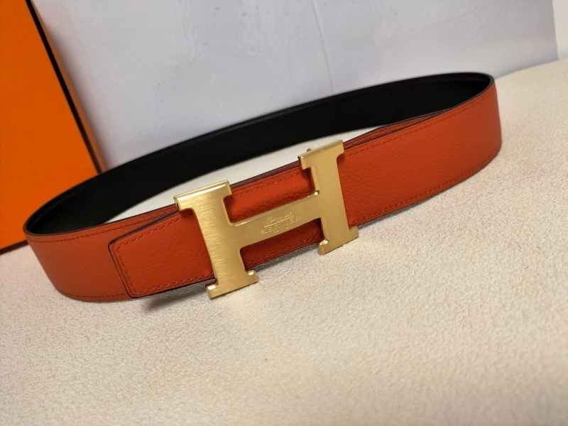 DailyWear Hermes Belts 296208