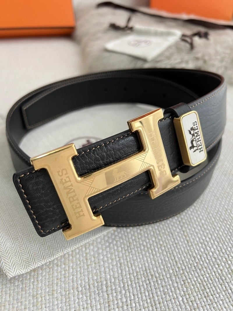 Hermes Belts Resilient 296187