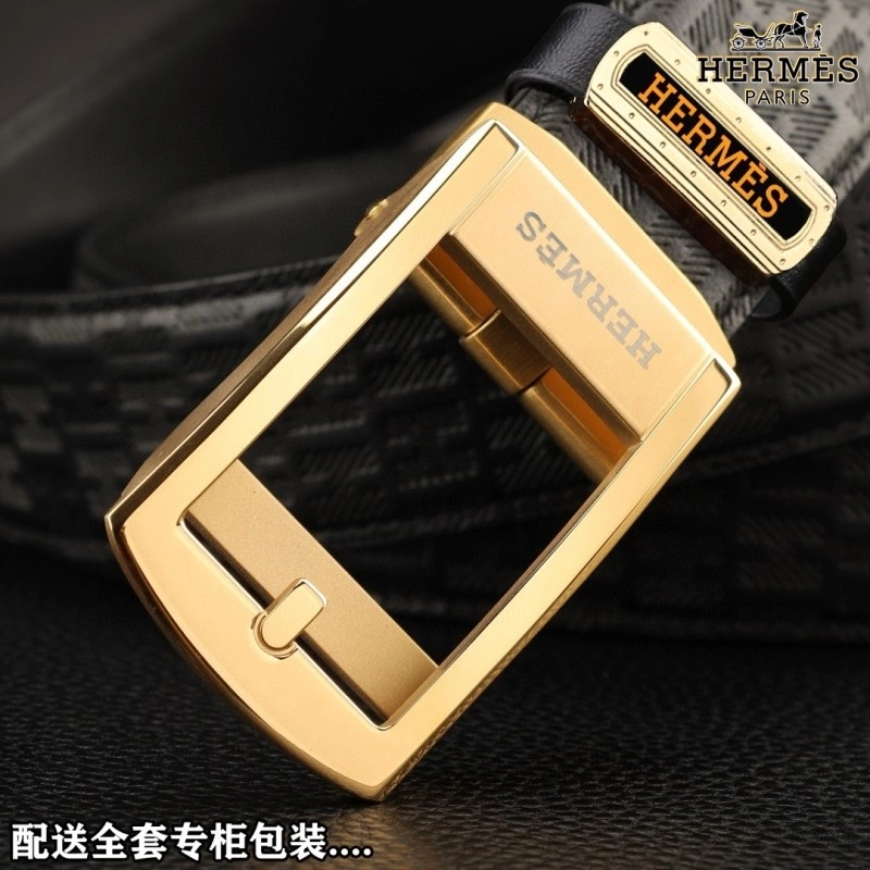 ZipUp Hermes Belts 296194