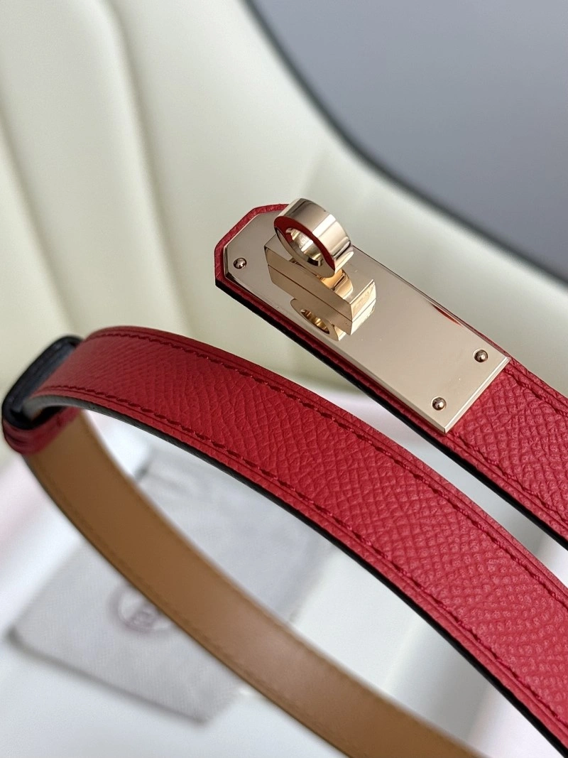 EyeCatching Hermes Belts 296018