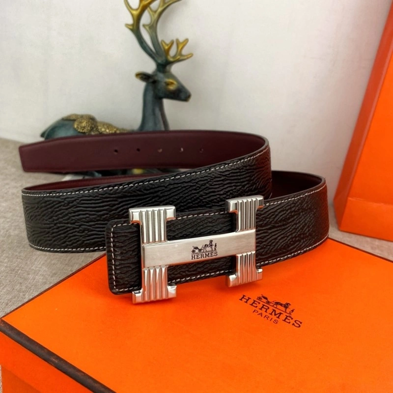 ZipUp Hermes Belts 295911