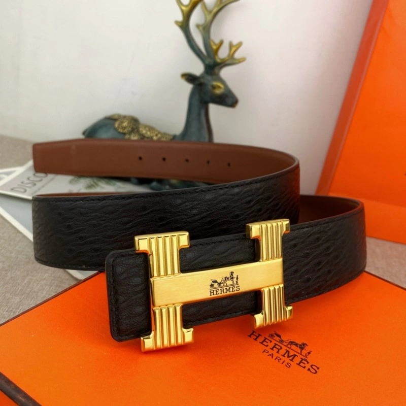 DailyWear Hermes Belts 295833