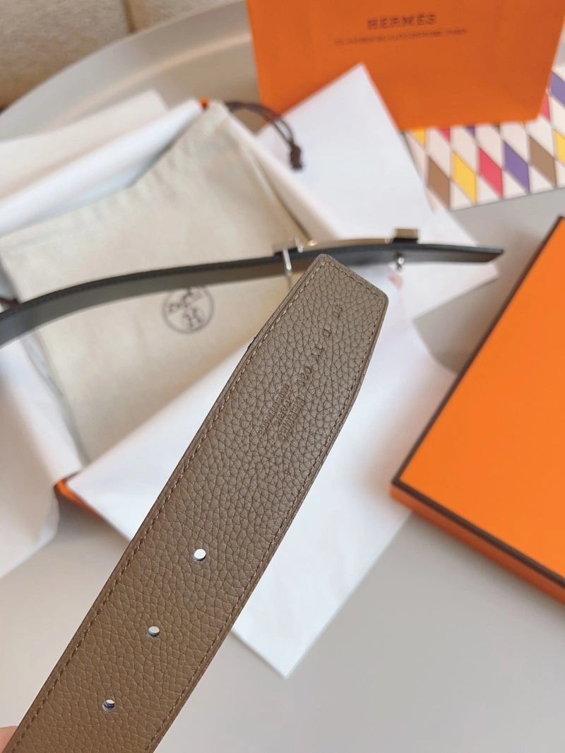 ZipUp Hermes Belts 295343