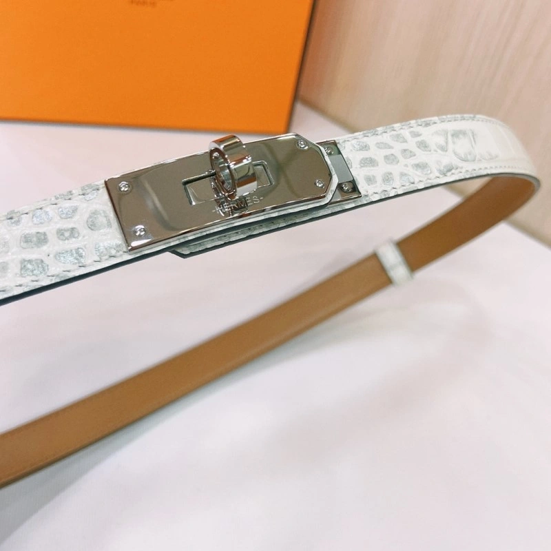 TechFriendly Hermes Belts 295280