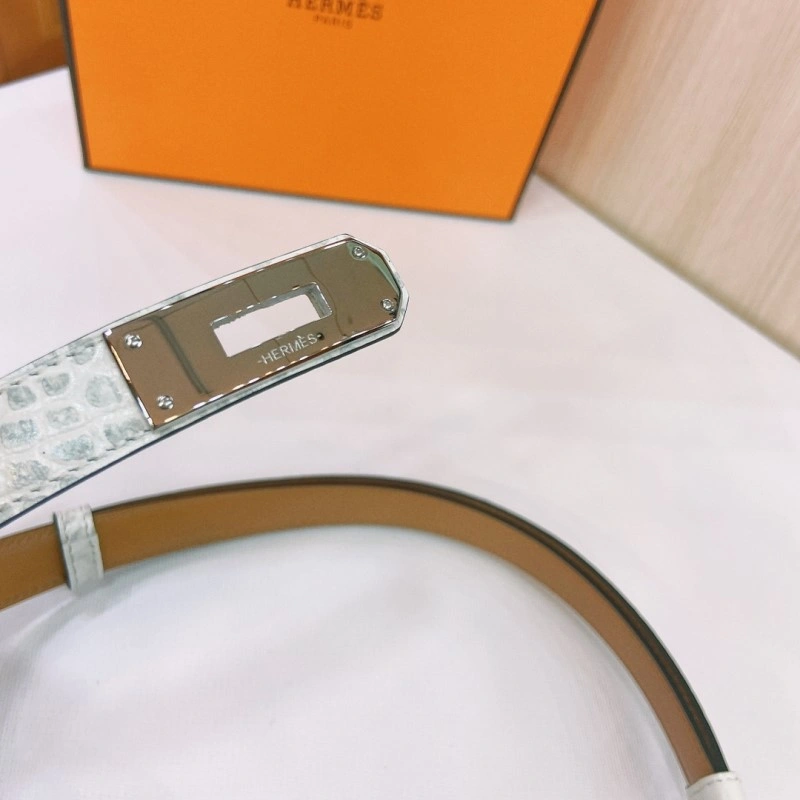 TechFriendly Hermes Belts 295280