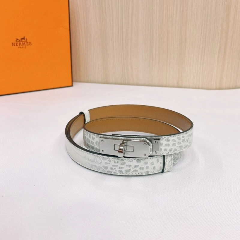 TechFriendly Hermes Belts 295280