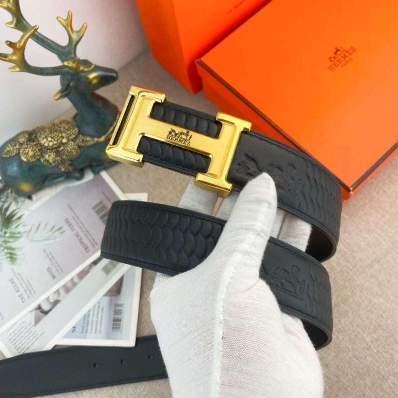 EyeCatching Hermes Belts 295173