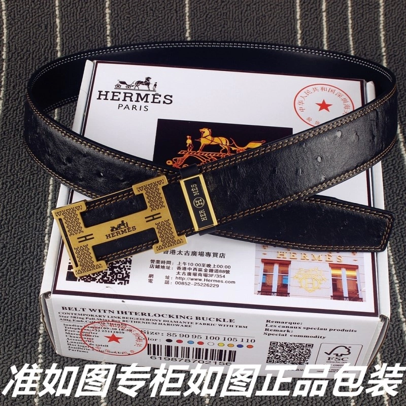 GoAnywhere Hermes Belts 295089