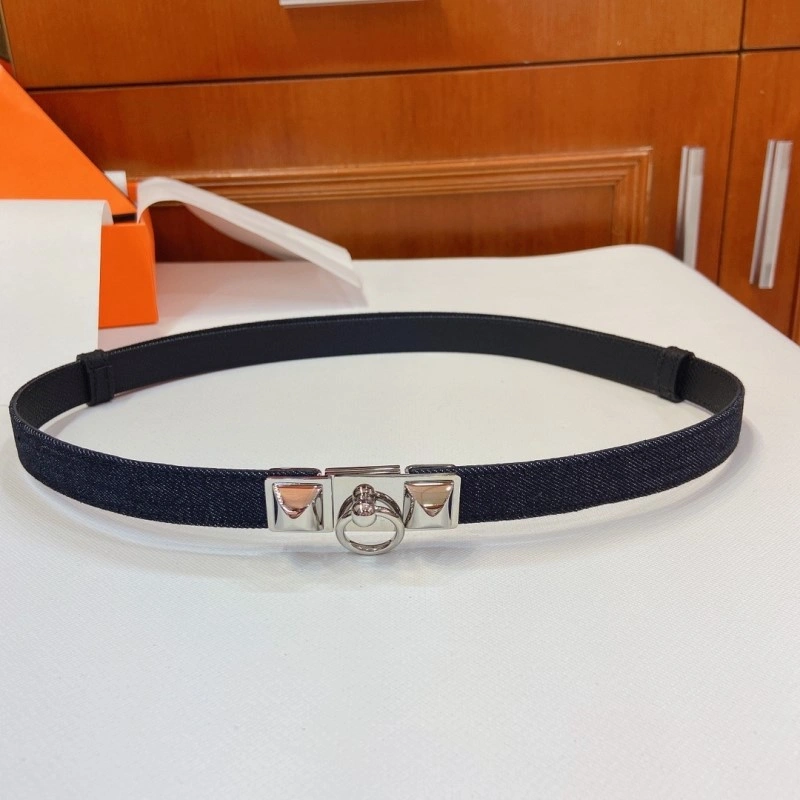 Hermes Belts Cozy 294611