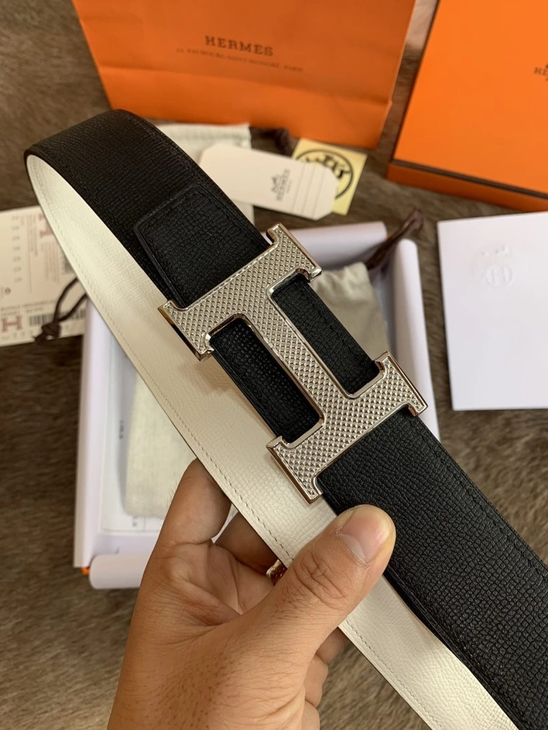 DailyWear Hermes Belts 294312