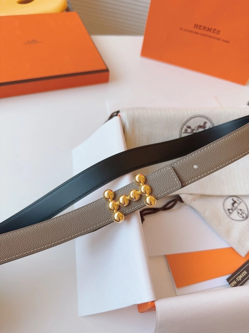 Hermes Belts Thermal 294189
