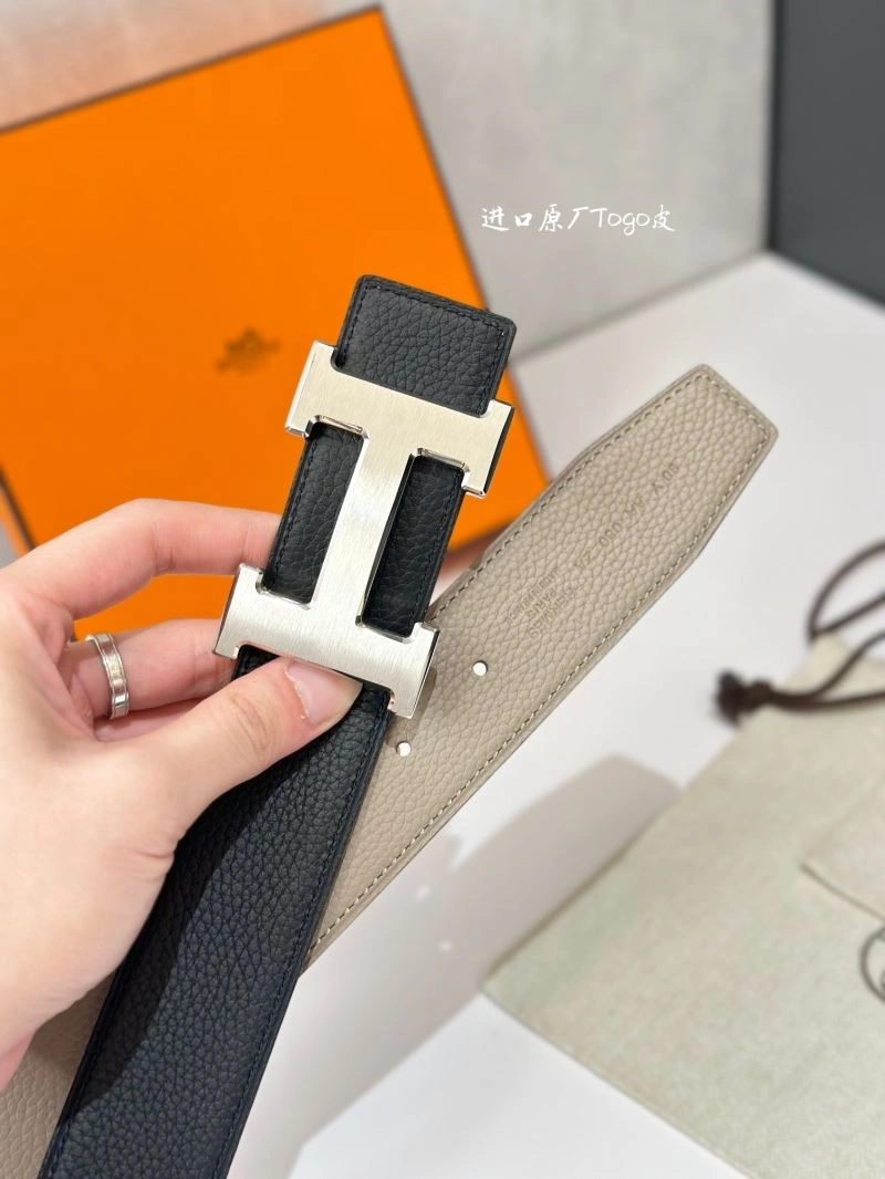 DailyWear Hermes Belts 296518