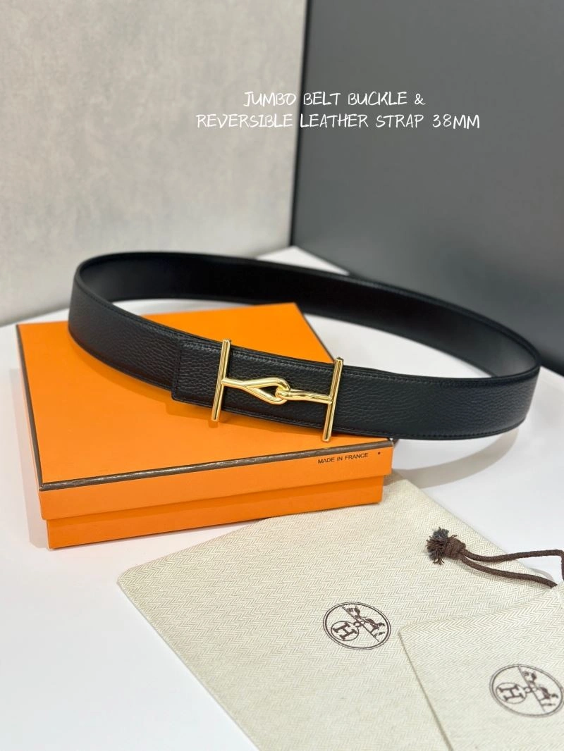 GoAnywhere Hermes Belts 296493