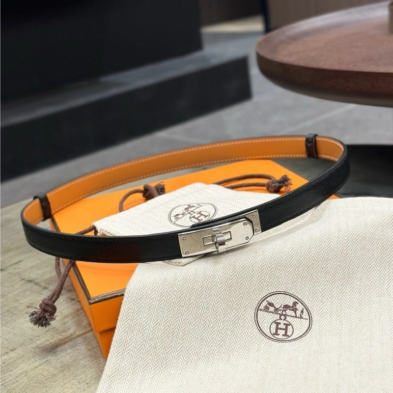 TechFriendly Hermes Belts 294115
