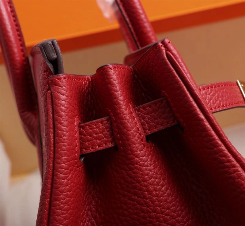 OdorResistant Hermes Birkin Bags 90421