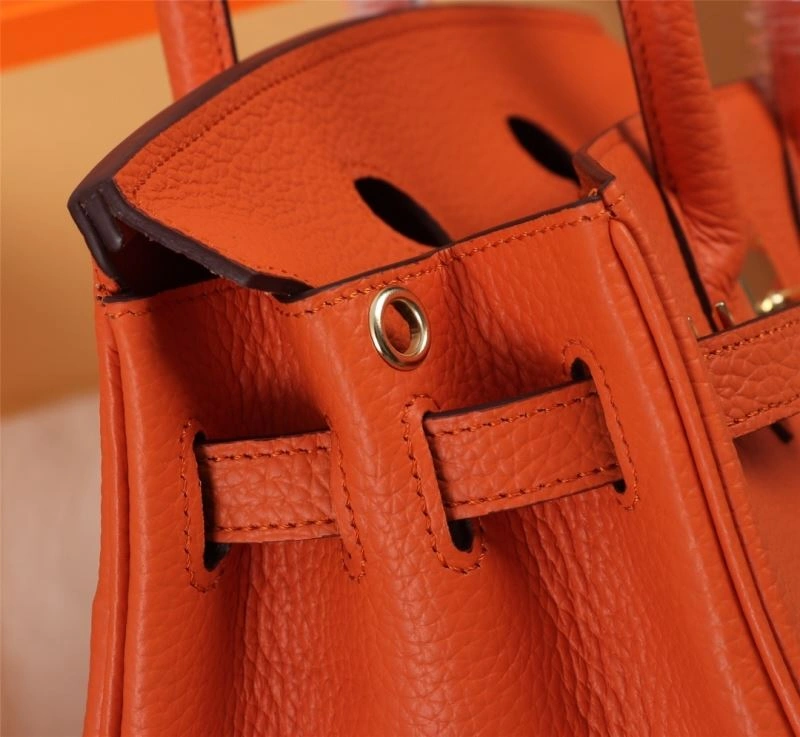 FreshLook Hermes Birkin Bags 89637
