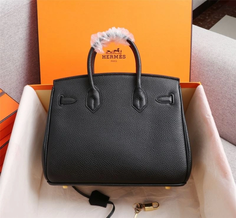 Affordable Hermes Birkin Bags 78993