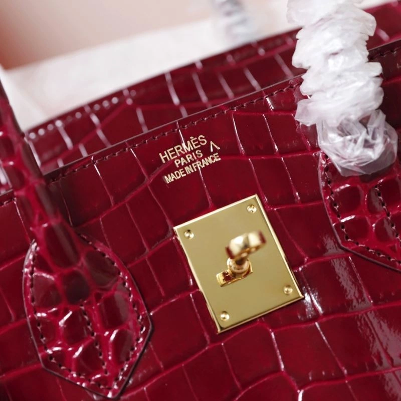 Hermes Birkin Bags Cozy 89581