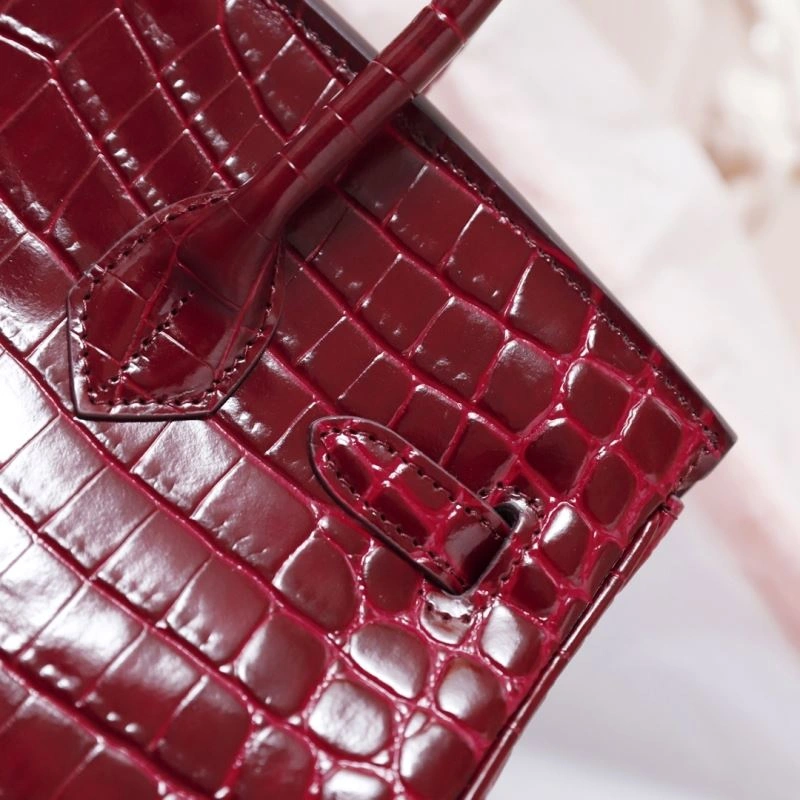 Hermes Birkin Bags Cozy 89581