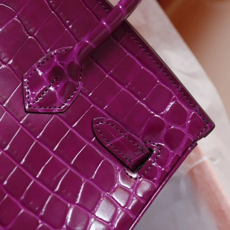 Hermes Birkin Bags EasyCare 89571