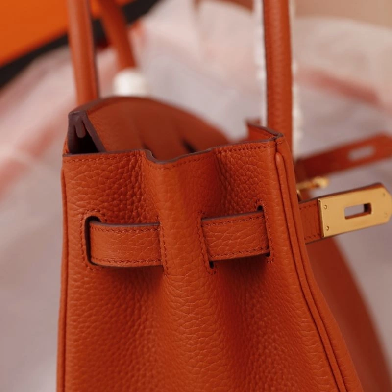 Soft Hermes Birkin Bags 89561