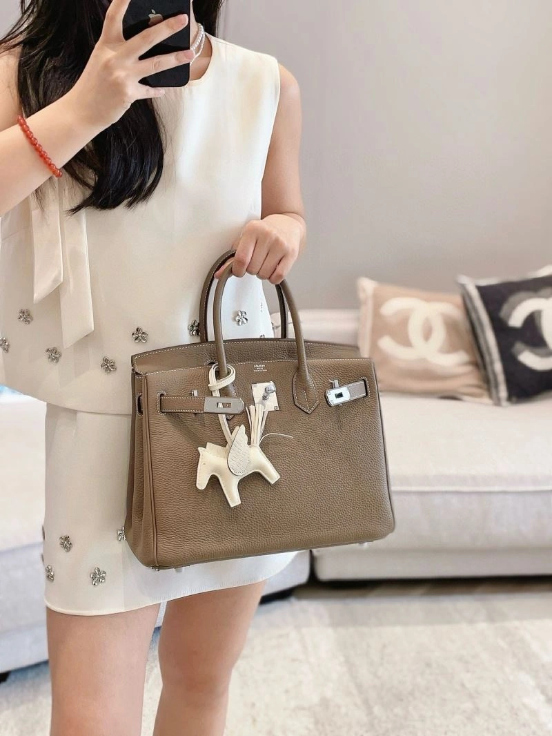 Hermes Birkin Bags EasyMatch 64460