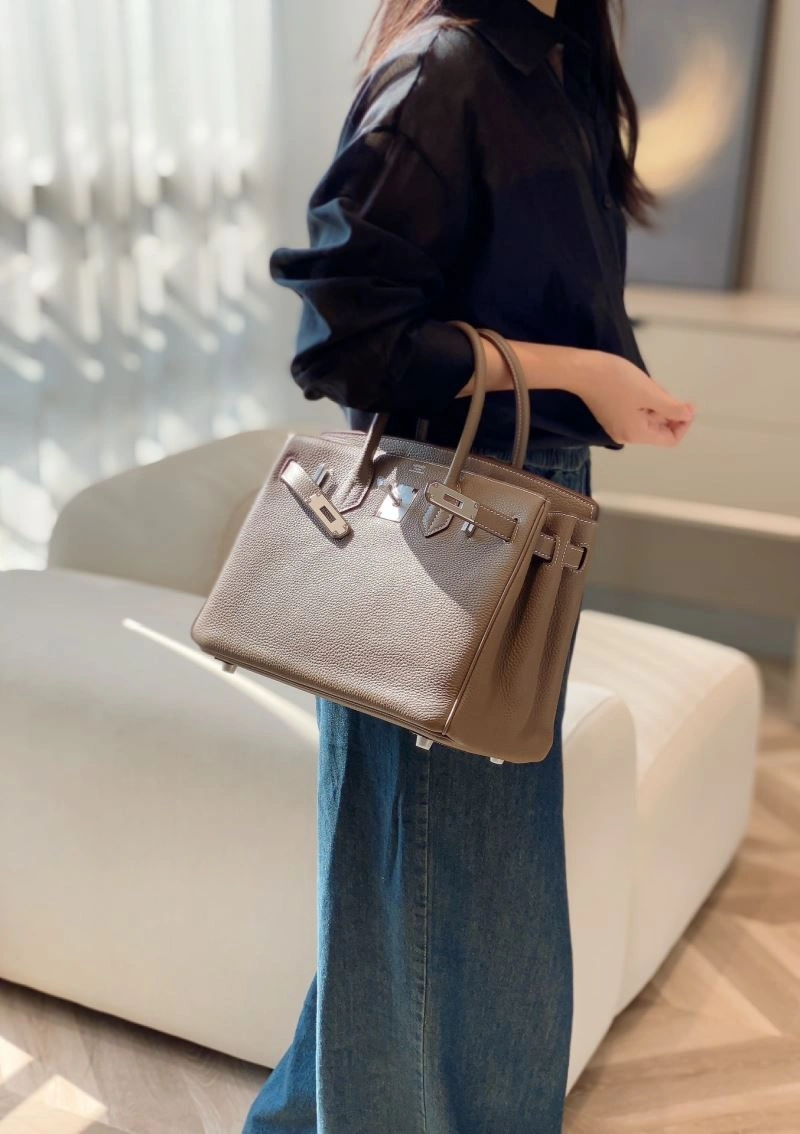 Hermes Birkin Bags EasyMatch 64460