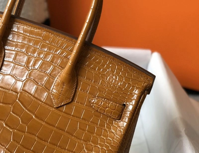 Supportive Hermes Birkin Bags 64427