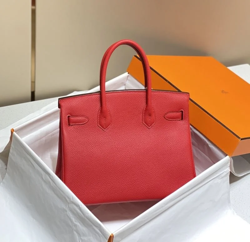 Trendsetting Hermes Birkin Bags 48998