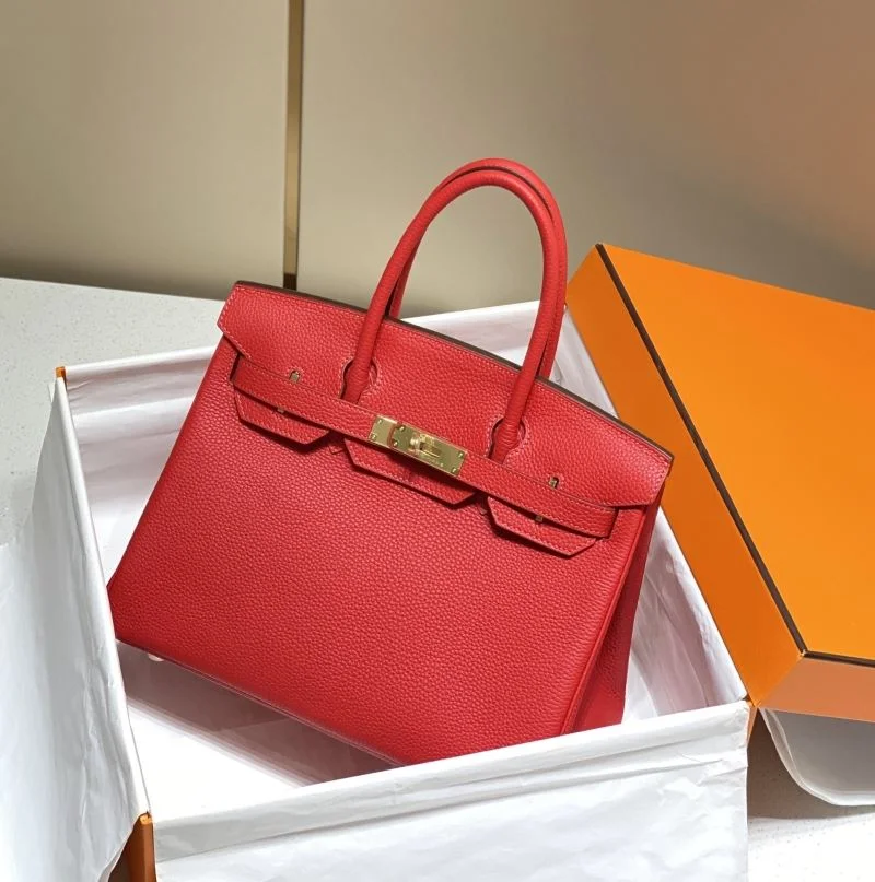 Trendsetting Hermes Birkin Bags 48998