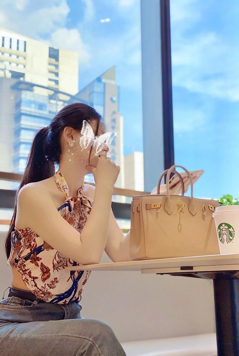 AllSeason Hermes Birkin Bags 48981